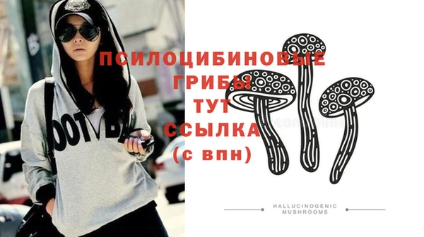 твердый Баксан